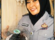 Warga Binaan Lapas Perempuan Tangerang Hadirkan “Nona Hitam Manis”, Bolu Ketan Hitam Keju Lumer yang Siap Dipesan!
