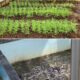 LP kelas IIA Tangerang Tingkatkan Ketahanan Pangan Dari Berkebun Kangkung Sampai Ternak Ikan Lele