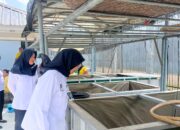 Kepala Lapas Perempuan Kelas IIA Tangerang Tinjau Kegiatan Kerja Warga Binaan
