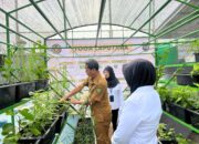 Peresmian Toga Laputara, Lapas Perempuan Kelas IIA Tangerang Dorong Pemanfaatan Tanaman Obat Keluarga