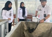 Lapas Perempuan Tangerang Panen Lele, Jual 8,1 Kg ke Pihak Ketiga untuk Dukung Ketahanan Pangan