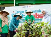 Pemkot Jakpus Tanam Bibit Cabai di 59 Lokasi 