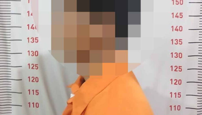 Polisi Tangkap Pelaku Penggelapan Motor di Pantai Onar, Satu Rekan Masih DPO