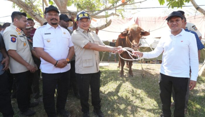 Presiden Prabowo Penuhi Permintaan Warga Aceh, Salurkan Bantuan Daging Meugang untuk Sambut Idulfitri