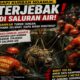 Sapi Kurban Ngamuk di Pulogadung, Jakarta Timur, Sempat Tercebur ke Saluran Air Saat Hendak Disembelih