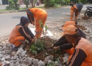 PPSU Tanami Bantaran Kali Cengkareng Drain dengan Ratusan Tanaman Hias