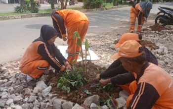 PPSU Tanami Bantaran Kali Cengkareng Drain dengan Ratusan Tanaman Hias