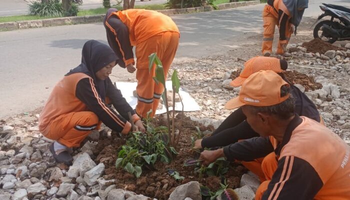 PPSU Tanami Bantaran Kali Cengkareng Drain dengan Ratusan Tanaman Hias