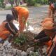 PPSU Tanami Bantaran Kali Cengkareng Drain dengan Ratusan Tanaman Hias
