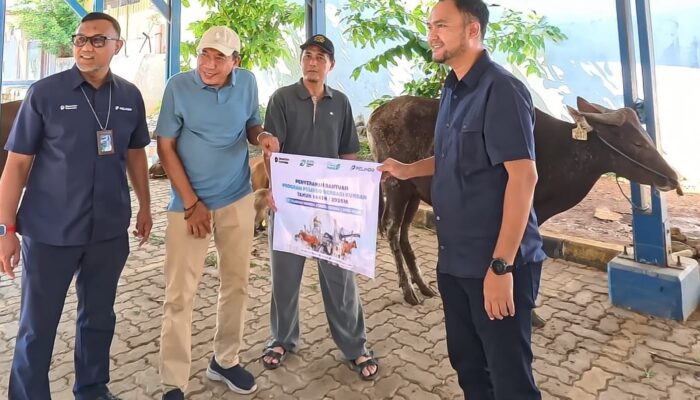 Pelindo Regional 2 Sunda Kelapa Salurkan 6 Hewan Qurban Melalui Program CSR